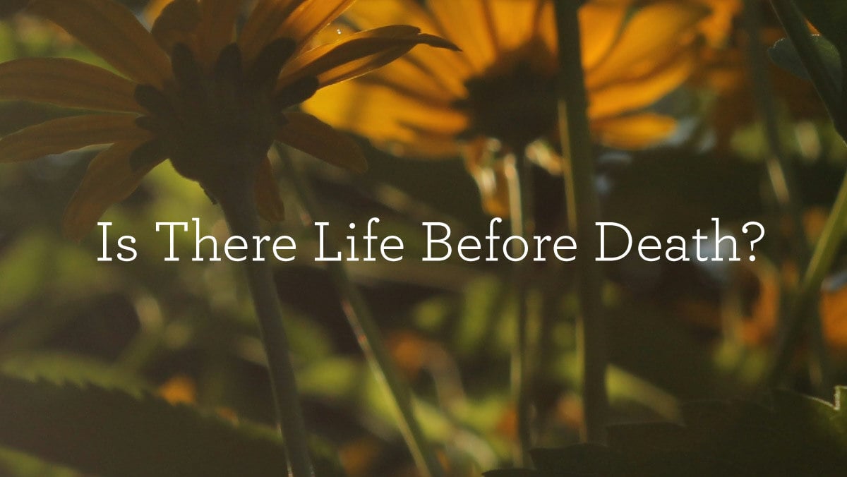 thumbnail image for Is There Life Before Death?