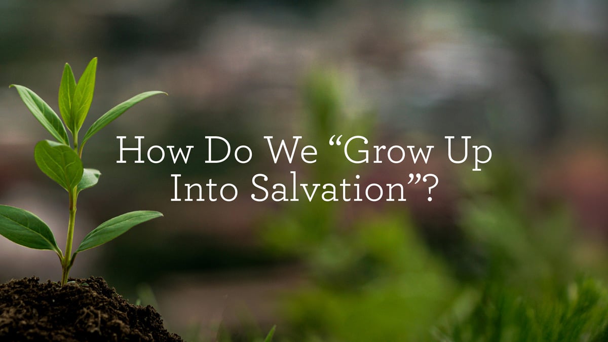 thumbnail image for How Do We “Grow Up into Salvation”?