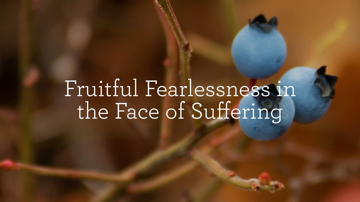 Fruitful Fearlessness in the Face of Suffering