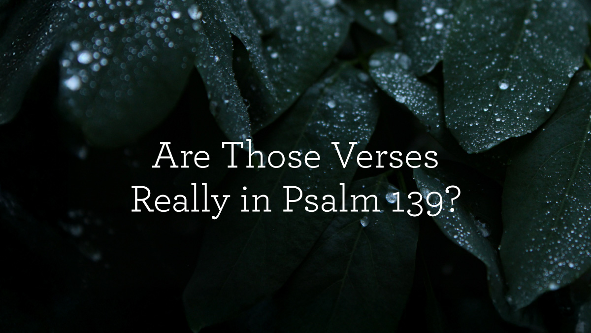 thumbnail image for Are Those Verses Really in Psalm 139?