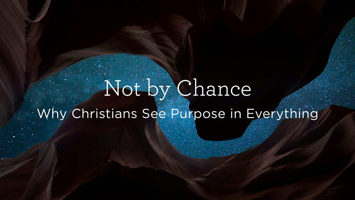 thumbnail image for Not by Chance: Why Christians See Purpose in Everything