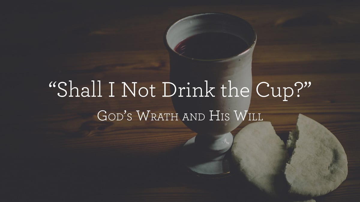 thumbnail image for “Shall I Not Drink the Cup?”: God’s Wrath and His Will