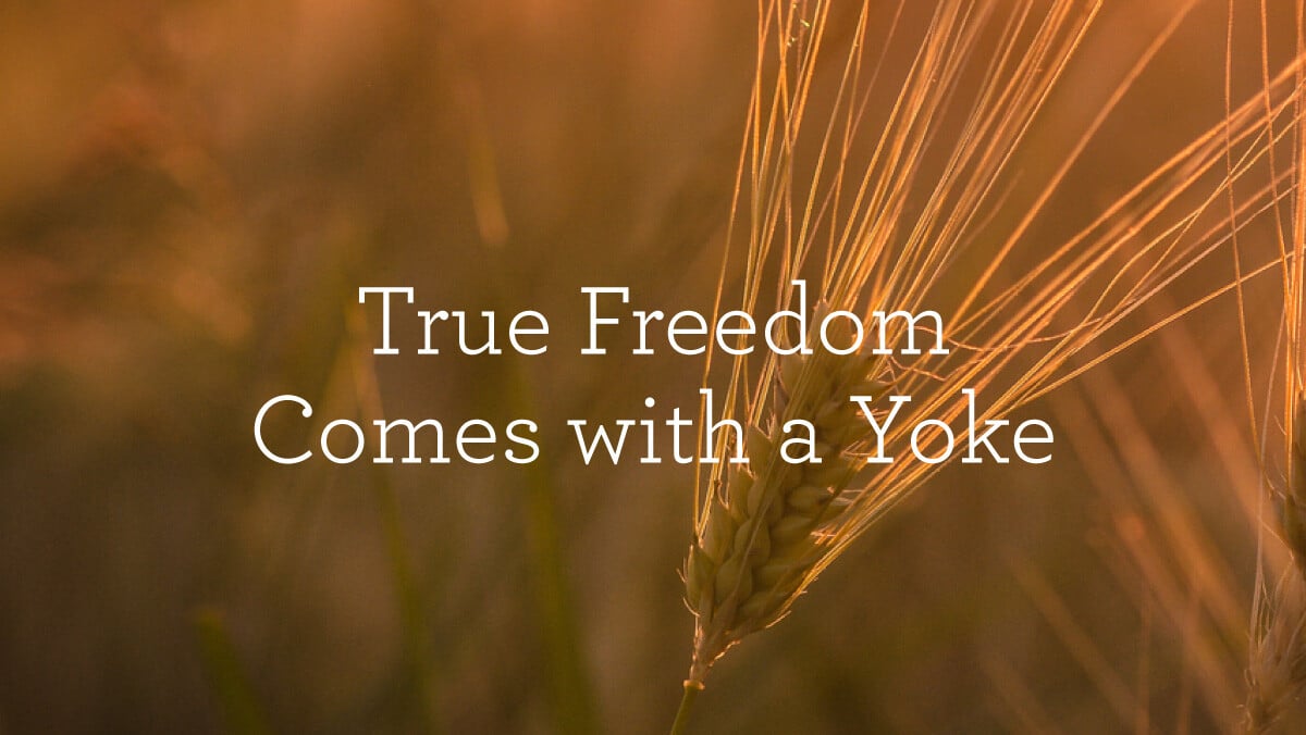 True Freedom Comes with a Yoke