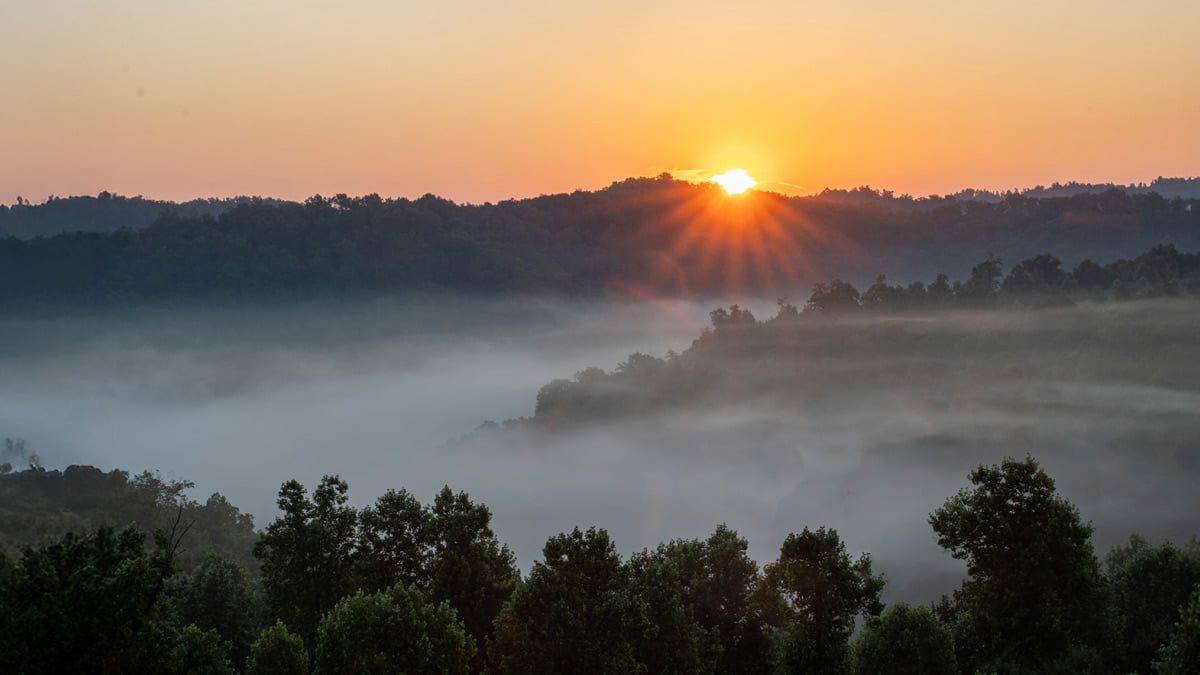 Joyful: Unchanging Truth for an Uncertain World