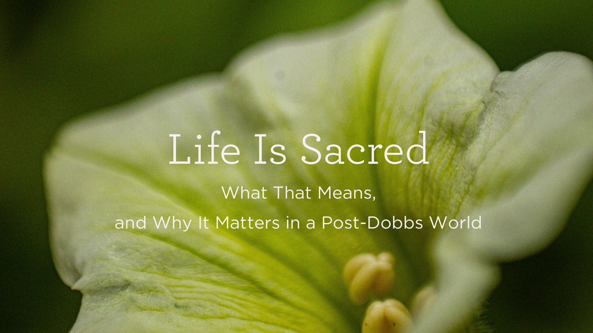 thumbnail image for “Life Is Sacred”: What That Means, and Why It Matters in a Post-Dobbs World