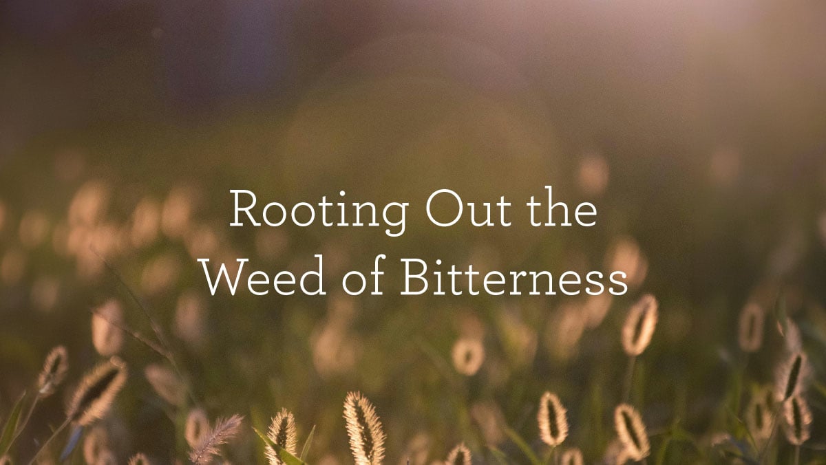 thumbnail image for Rooting Out the Weed of Bitterness