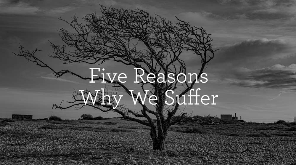 thumbnail image for Five Reasons Why We Suffer