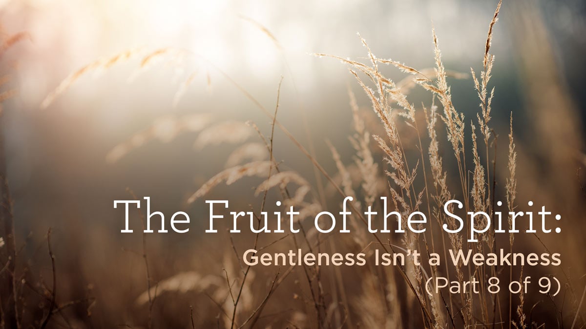 thumbnail image for The Fruit of the Spirit: Gentleness Isn’t a Weakness (Part 8 of 9)