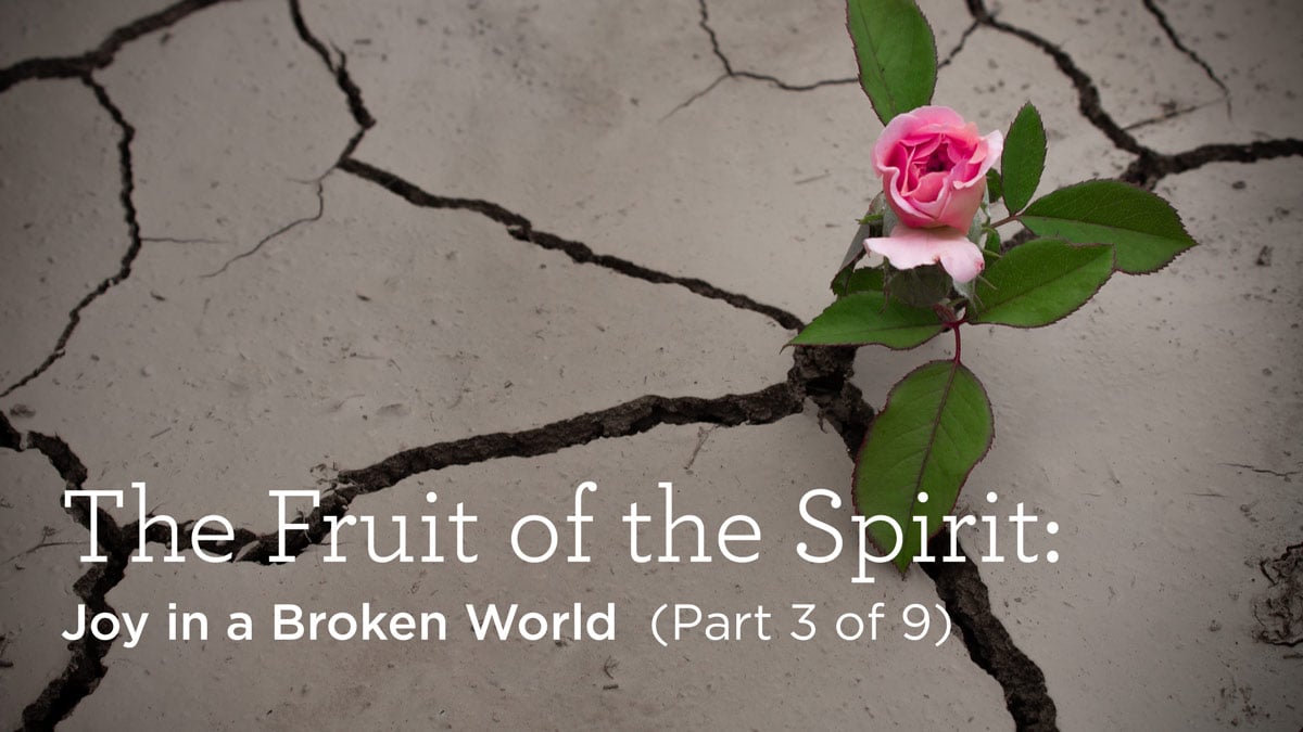 thumbnail image for The Fruit of the Spirit: Joy in a Broken World (Part 3 of 9)