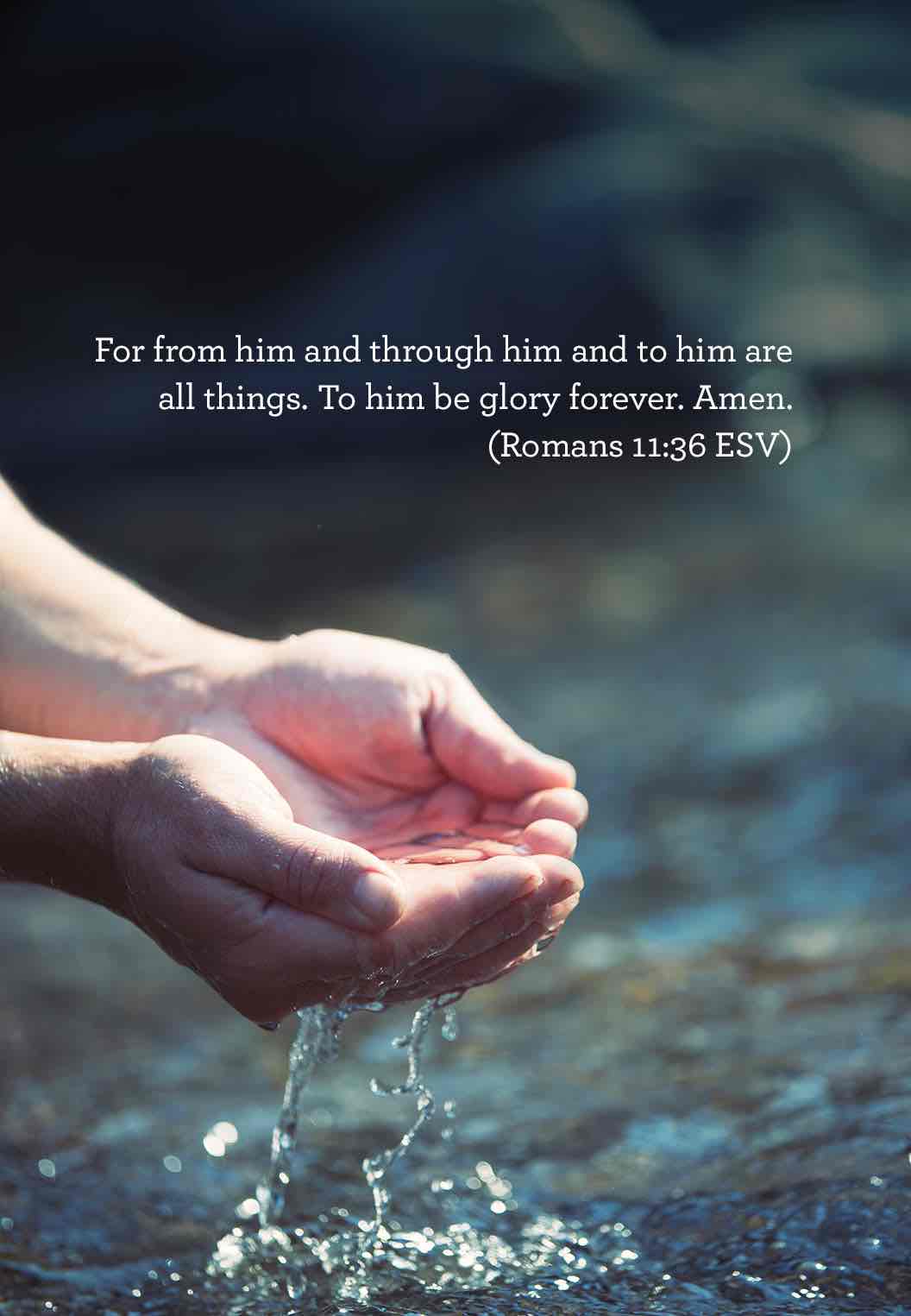 thumbnail image for From Him Through Him and To Him are All Things