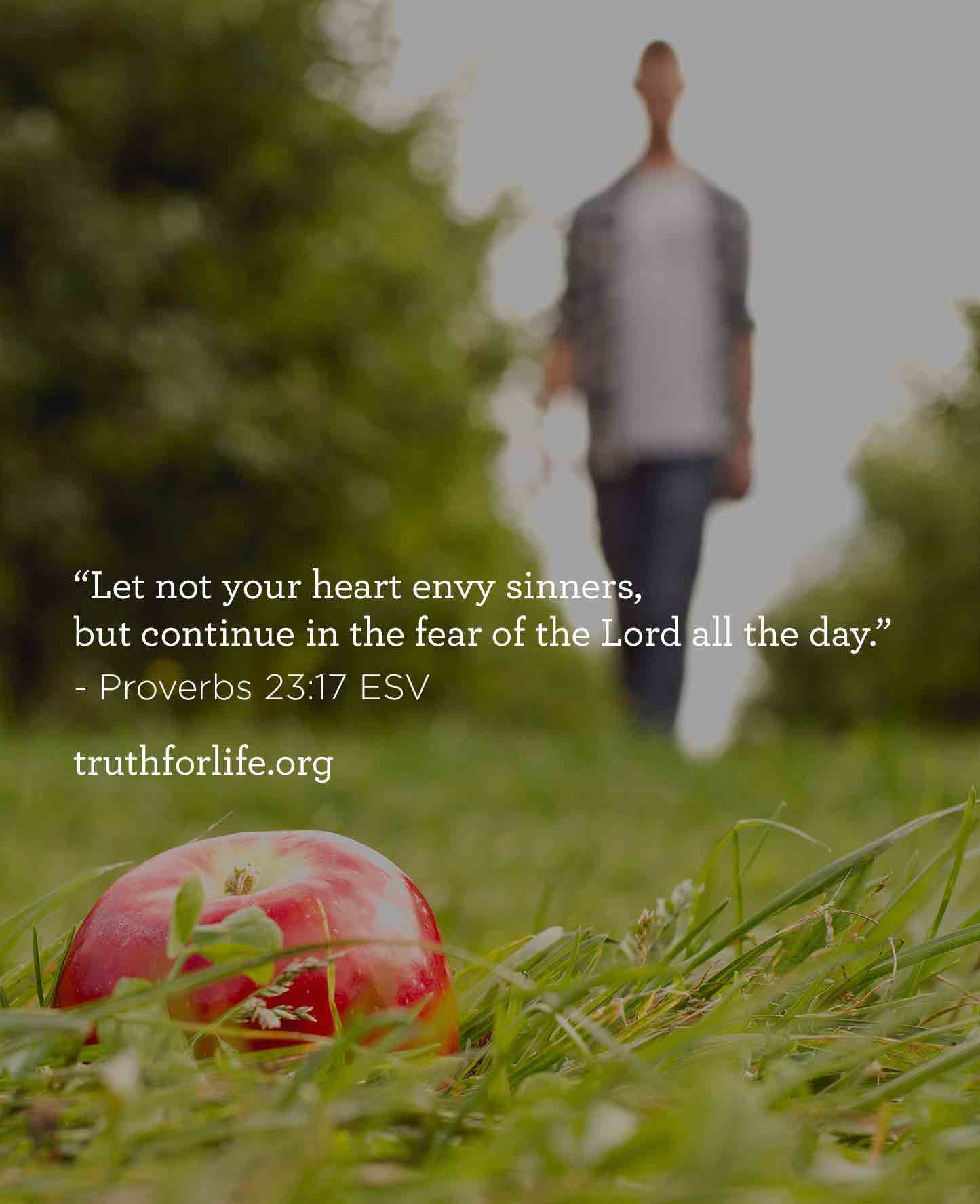 thumbnail image for Let not your heart envy sinners, but continue in the fear of the Lord