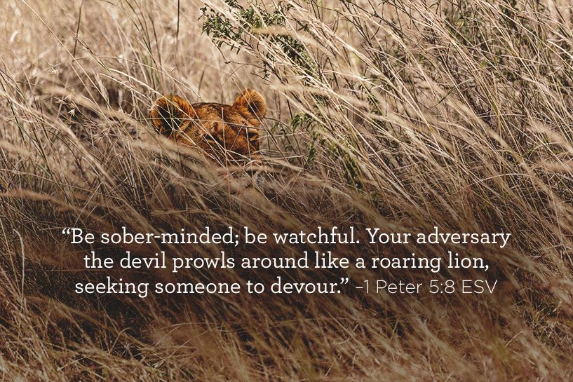 thumbnail image for Be Sober-minded
