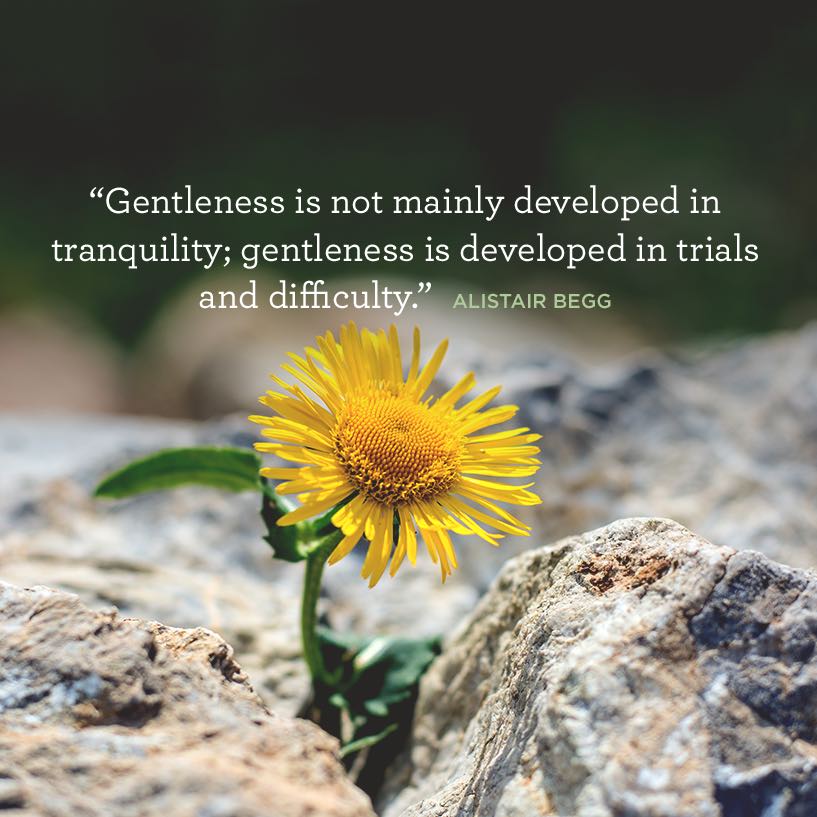thumbnail image for Gentleness Through Trials and Difficulty