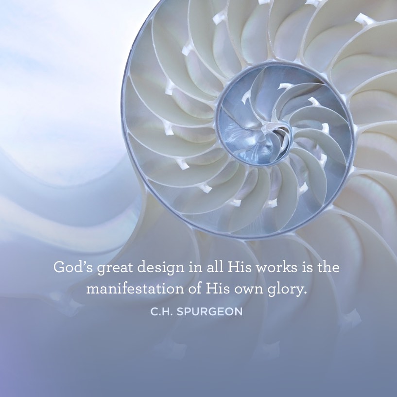 thumbnail image for God's Great Design