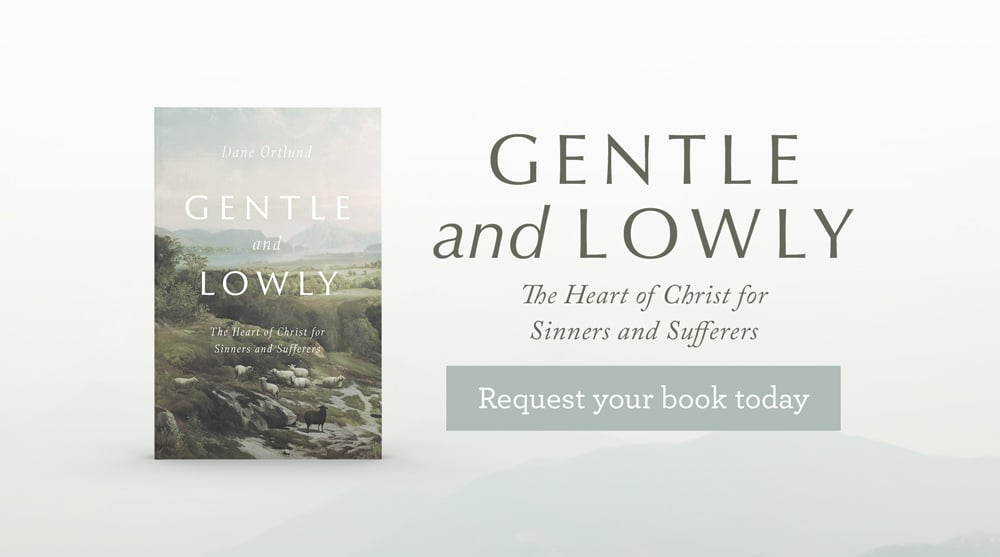 thumbnail image for Does Jesus Ever Grow Weary of Our Failures? Read ‘Gentle and Lowly’