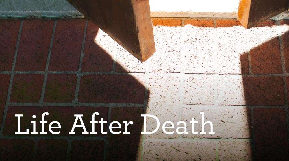 thumbnail image for Download (Free) - “Life After Death”