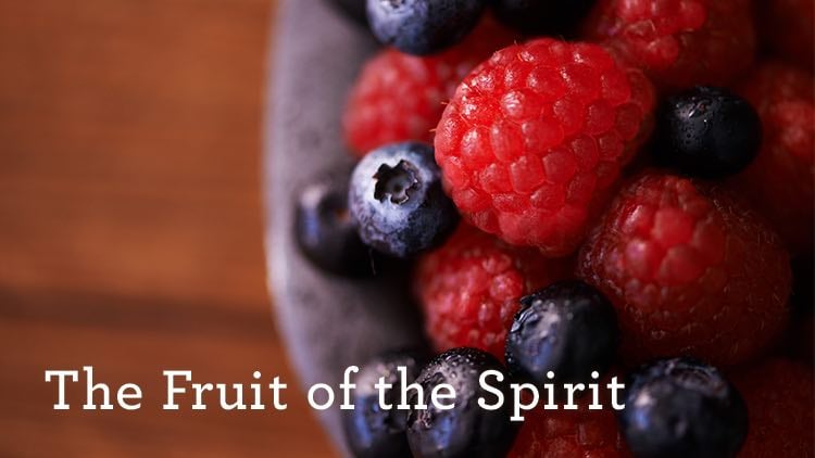 thumbnail image for Download (Free) - “The Fruit of the Spirit” - by Alistair Begg