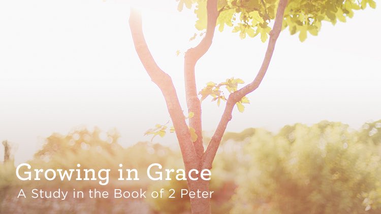 thumbnail image for Download (Free) - “Growing in Grace - A Study in the Book of 2 Peter”