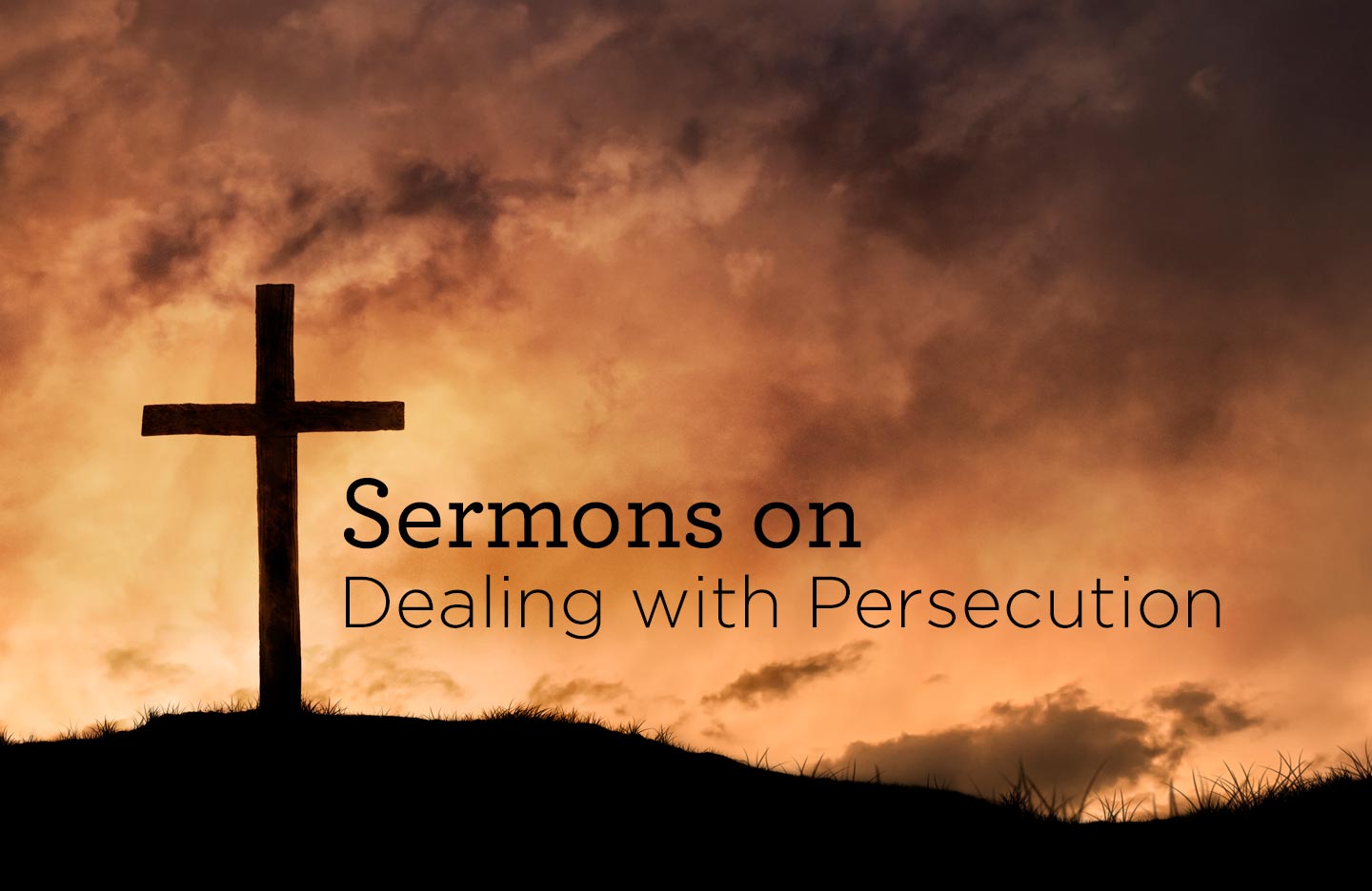thumbnail image for Sermons on Dealing with Persecution