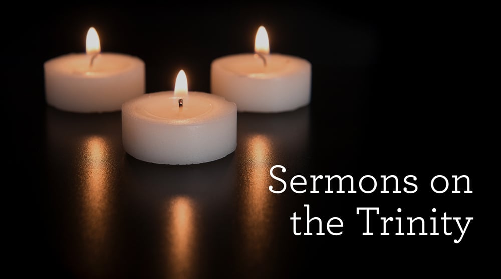 thumbnail image for Sermons on the Trinity