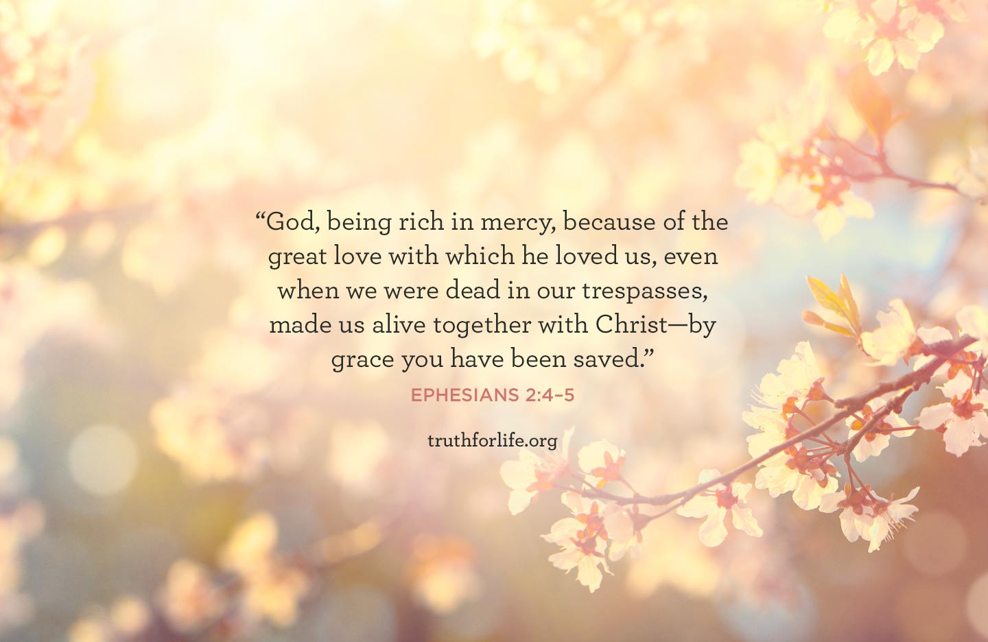 thumbnail image for Rich in Mercy: Wallpaper
