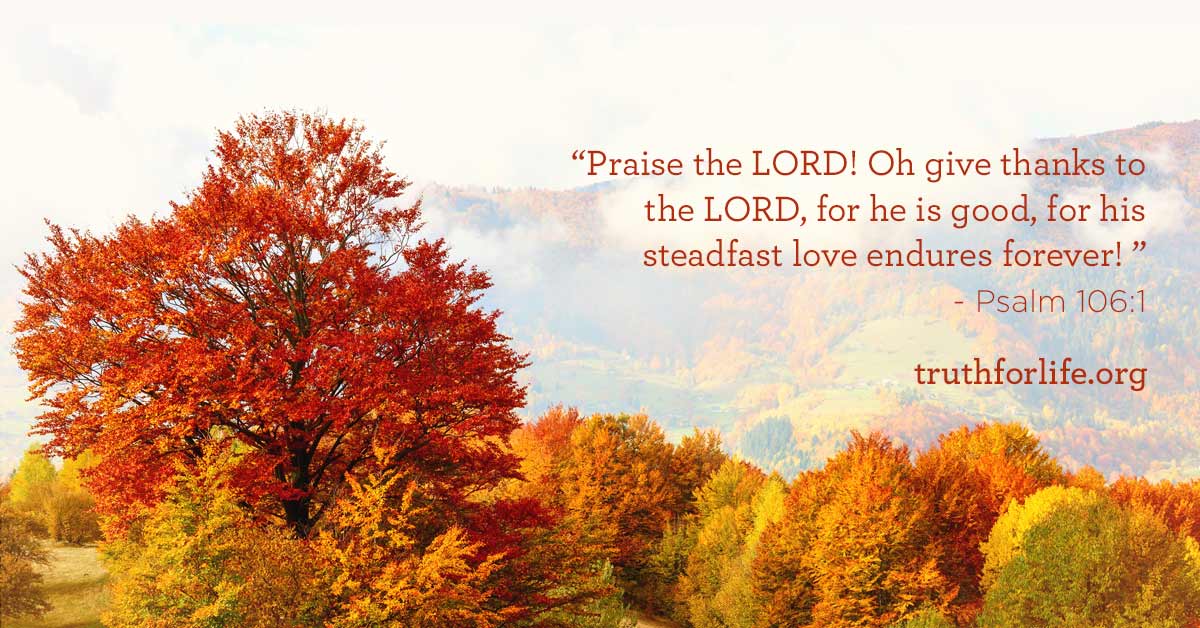 thumbnail image for Wallpaper: Praise the Lord