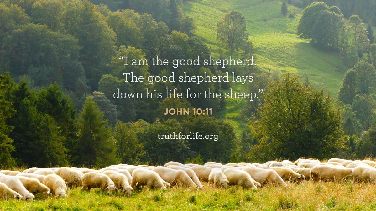 thumbnail image for Wallpaper: Good Shepherd