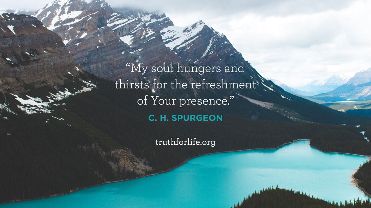 thumbnail image for Refreshment of Your Presence : Wallpaper