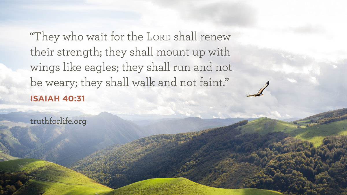 thumbnail image for Wallpaper: Renew